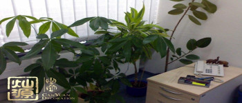 能讓員工感覺(jué)溫馨的辦公室裝修性價(jià)比裝飾
